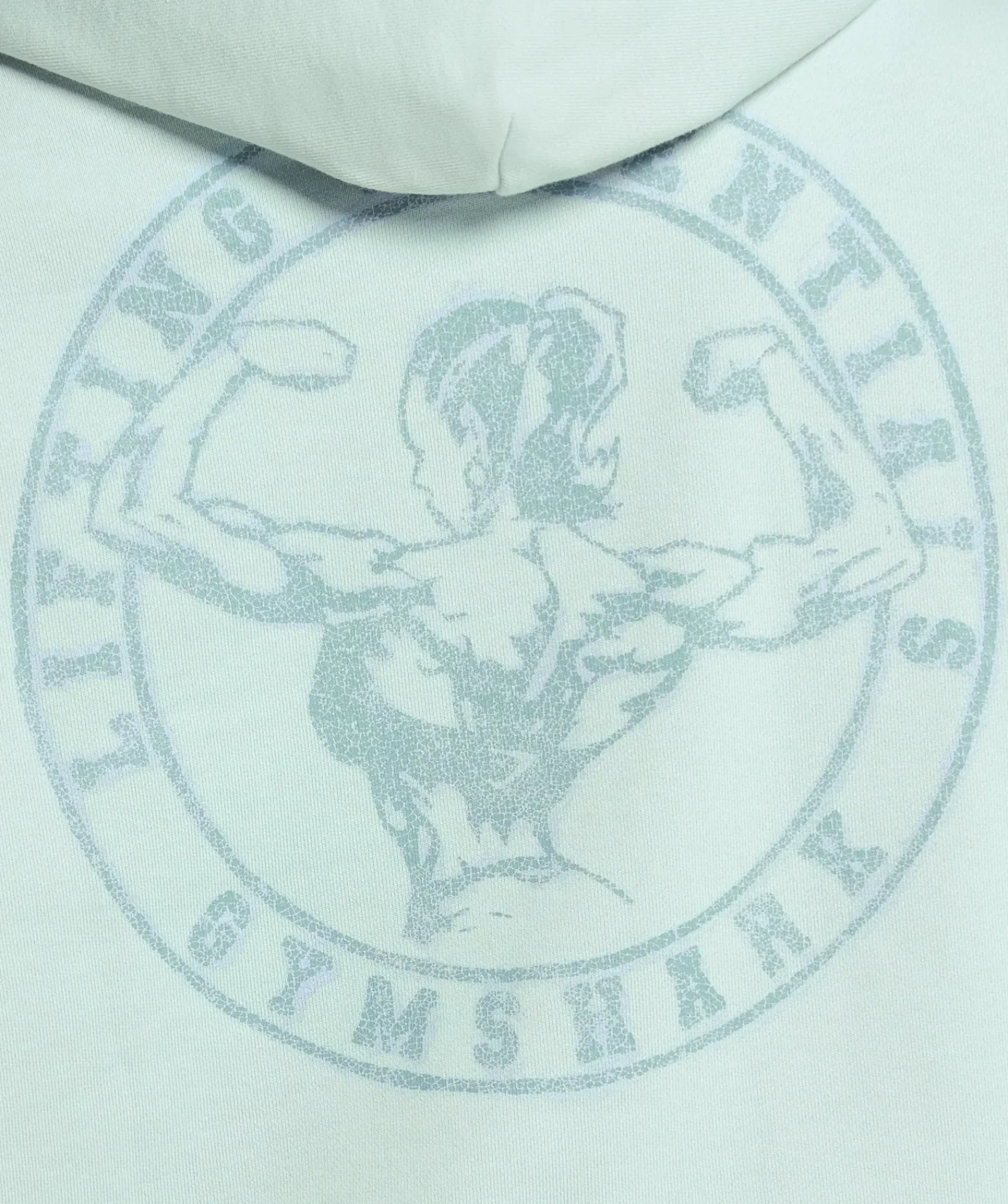 DAMES Gymshark Hoodies & Truien*Back Gains Graphic Hoodie