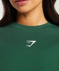 DAMES Gymshark T-shirts*Fraction Long Sleeve T-Shirt