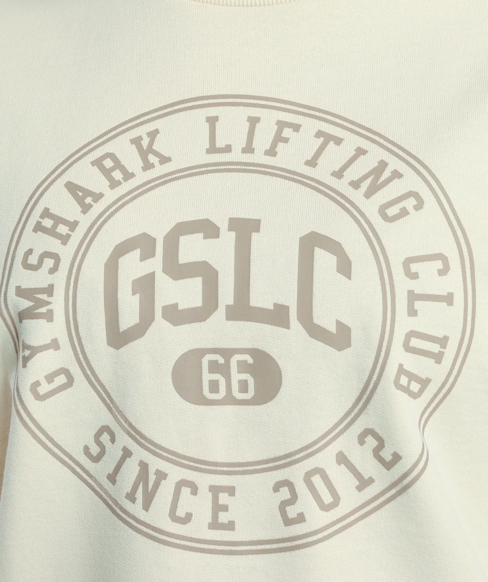 DAMES Gymshark Hoodies & Truien*GSLC Weight Graphic Sweater