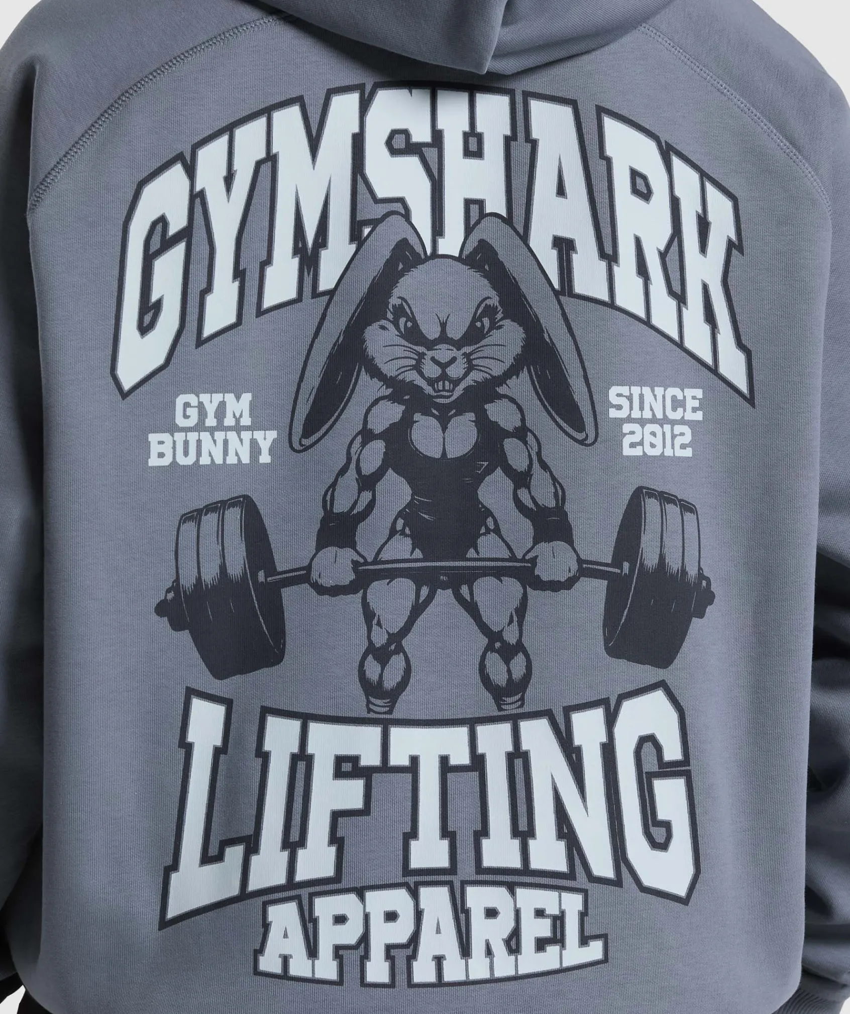 DAMES Gymshark Hoodies & Truien*Gym Bunny Oversized Hoodie