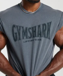 Heren Gymshark Hoodies & Truien|T-shirts*Heritage Washed Short Sleeve Crew