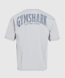 Heren Gymshark T-shirts*Heritage Washed T-Shirt