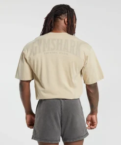 Heren Gymshark T-shirts*Heritage Washed T-Shirt