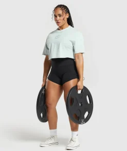 DAMES Gymshark Croptops|T-shirts*Legacy Washed Crop Top