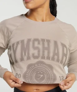 DAMES Gymshark Croptops|T-shirts*Lifting 2 In 1 Long Sleeve Crop Top