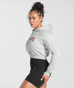 DAMES Gymshark Hoodies & Truien*Lifting Essentials Graphic Cropped Hoodie