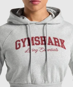 DAMES Gymshark Hoodies & Truien*Lifting Essentials Graphic Cropped Hoodie