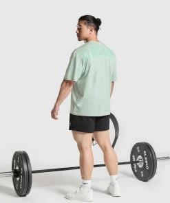 Heren Gymshark T-shirts*Power T-Shirt