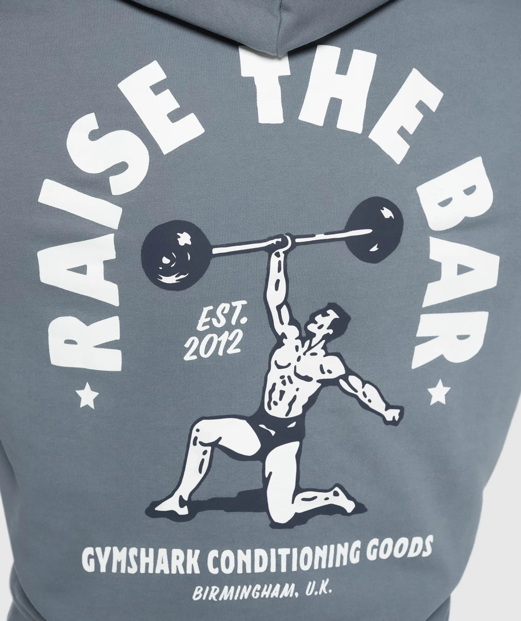 Heren Gymshark Hoodies & Truien*Raise the Bar Hoodie