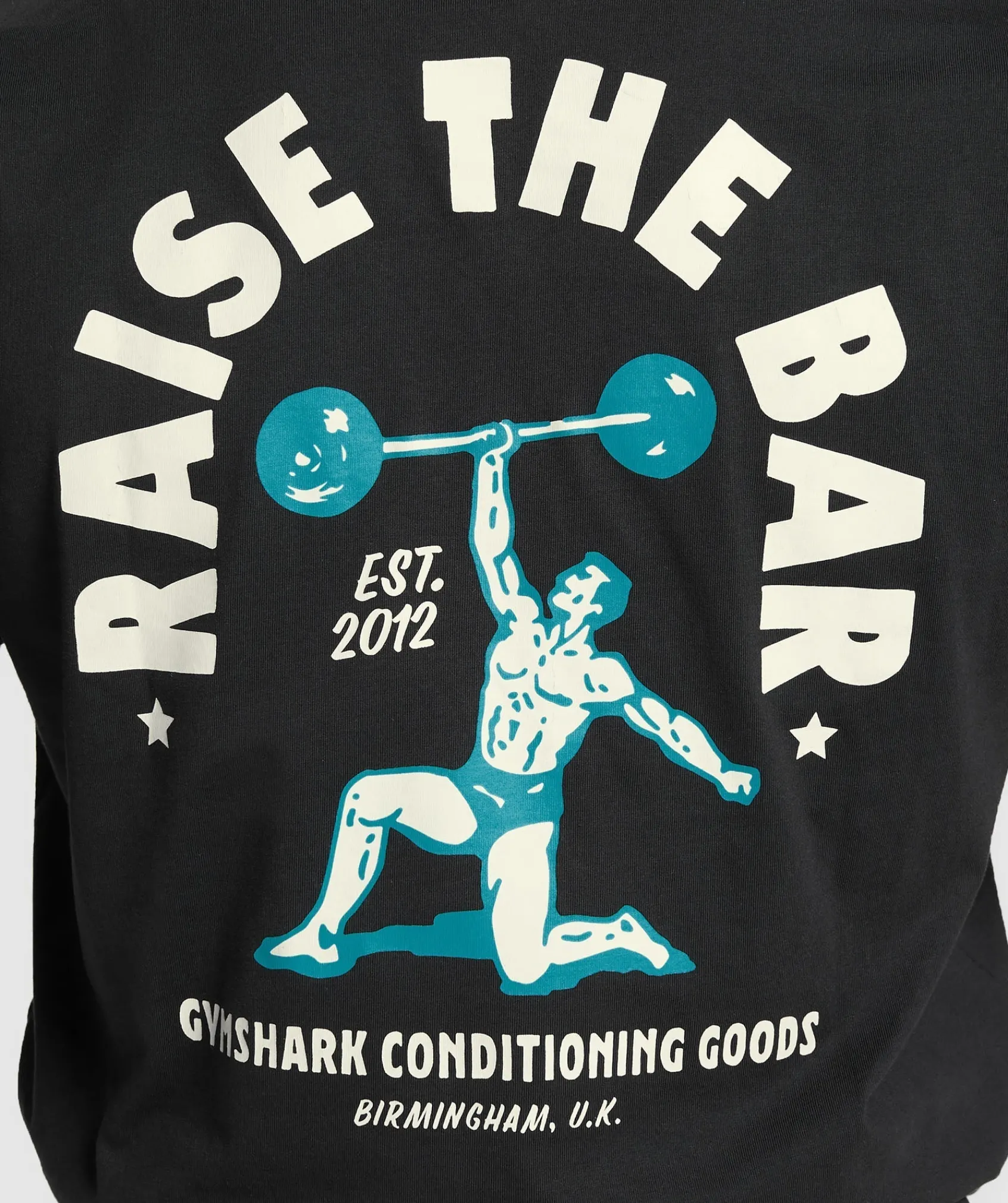 Heren Gymshark T-shirts*Raise The Bar Long Sleeve T-Shirt