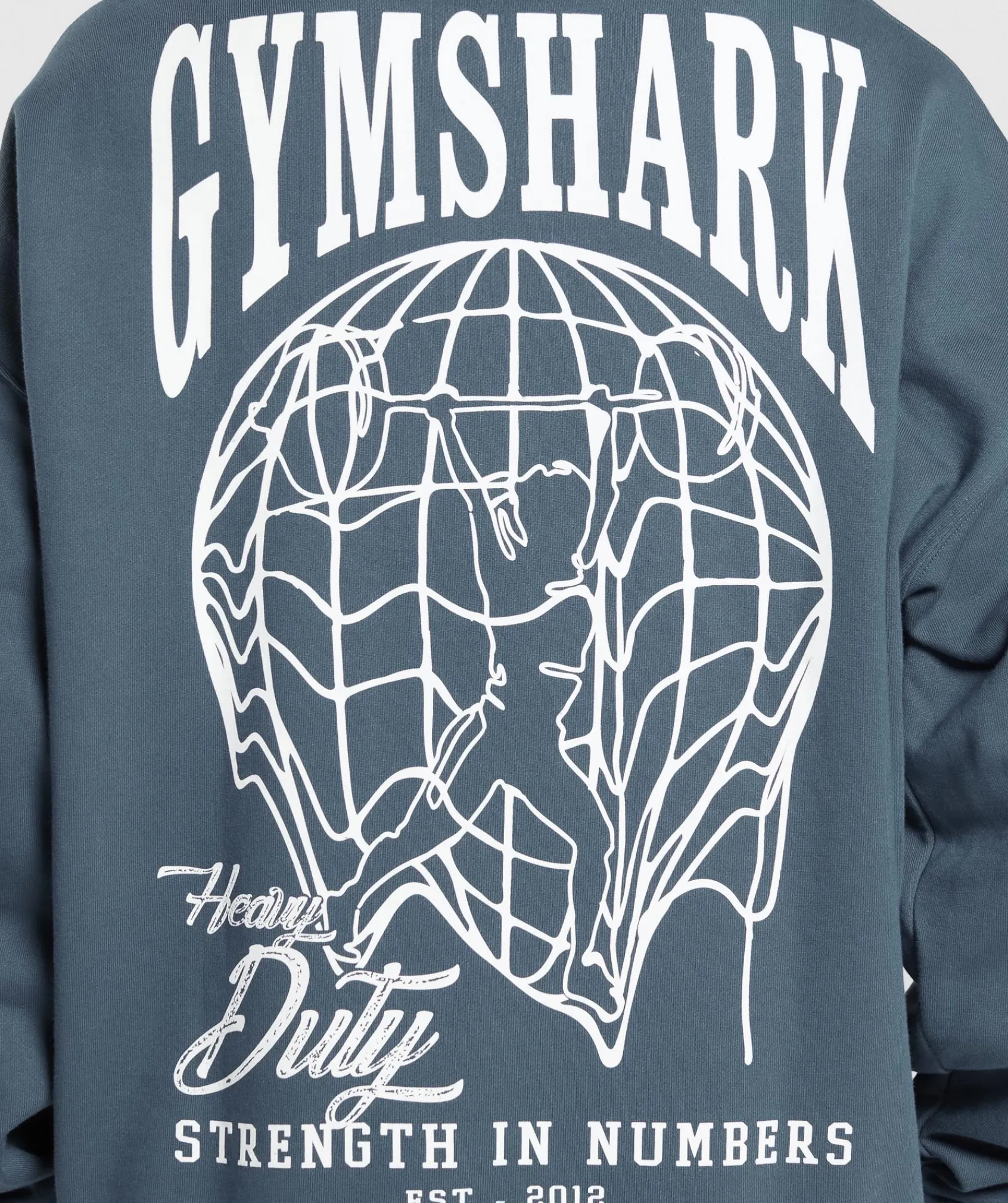 DAMES Gymshark Hoodies & Truien*Strength In Numbers Hoodie