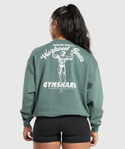 DAMES Gymshark Hoodies & Truien*Workout Gear Oversized Sweatshirt